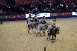 Quadrille - 00809
